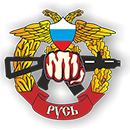 Частная охранная организация по Саратовской области